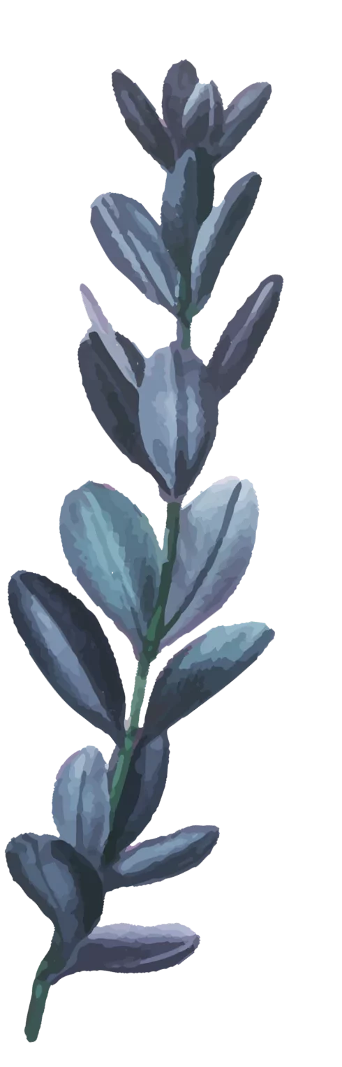 Floral Stem