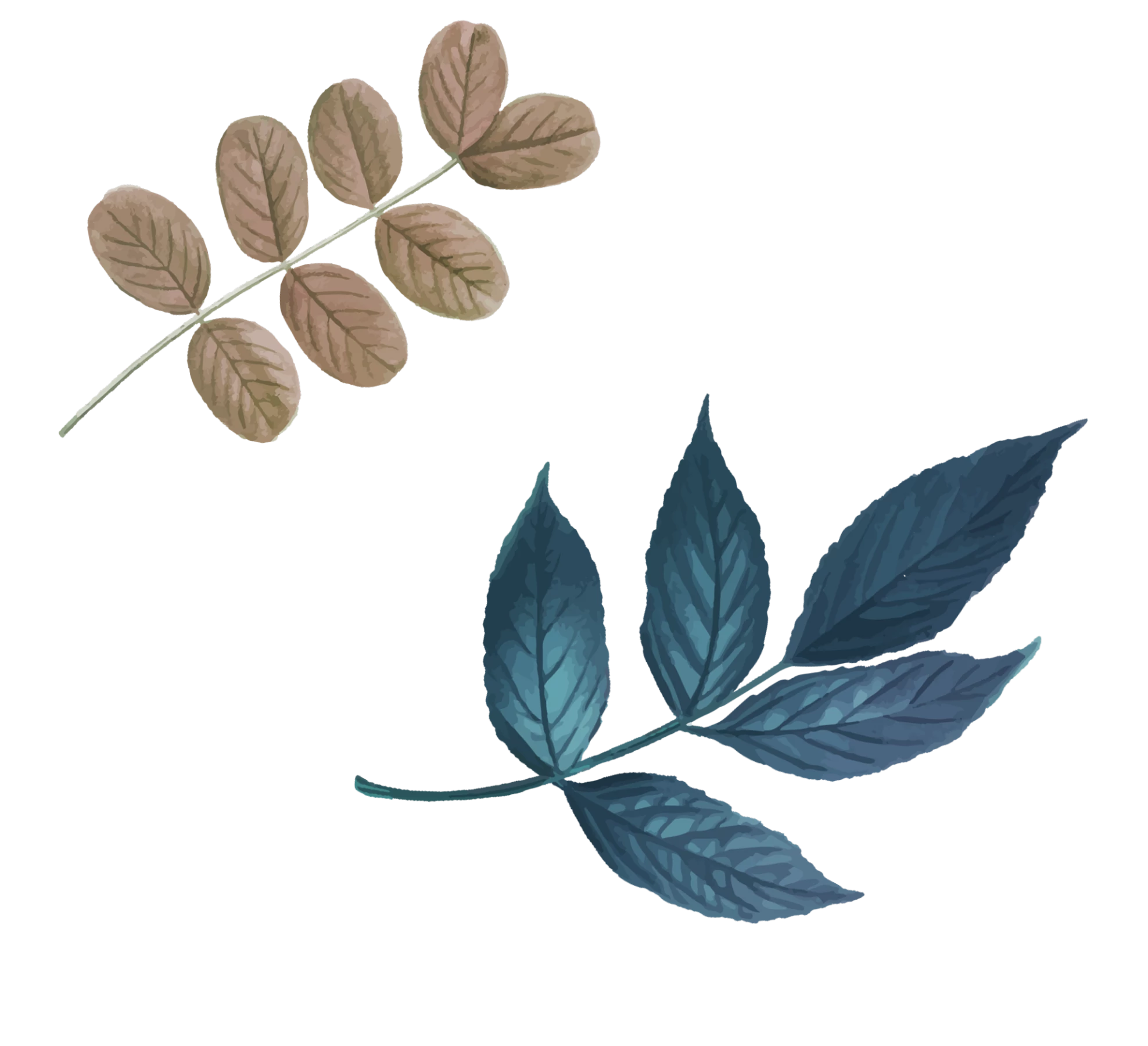 Floral Bouquet