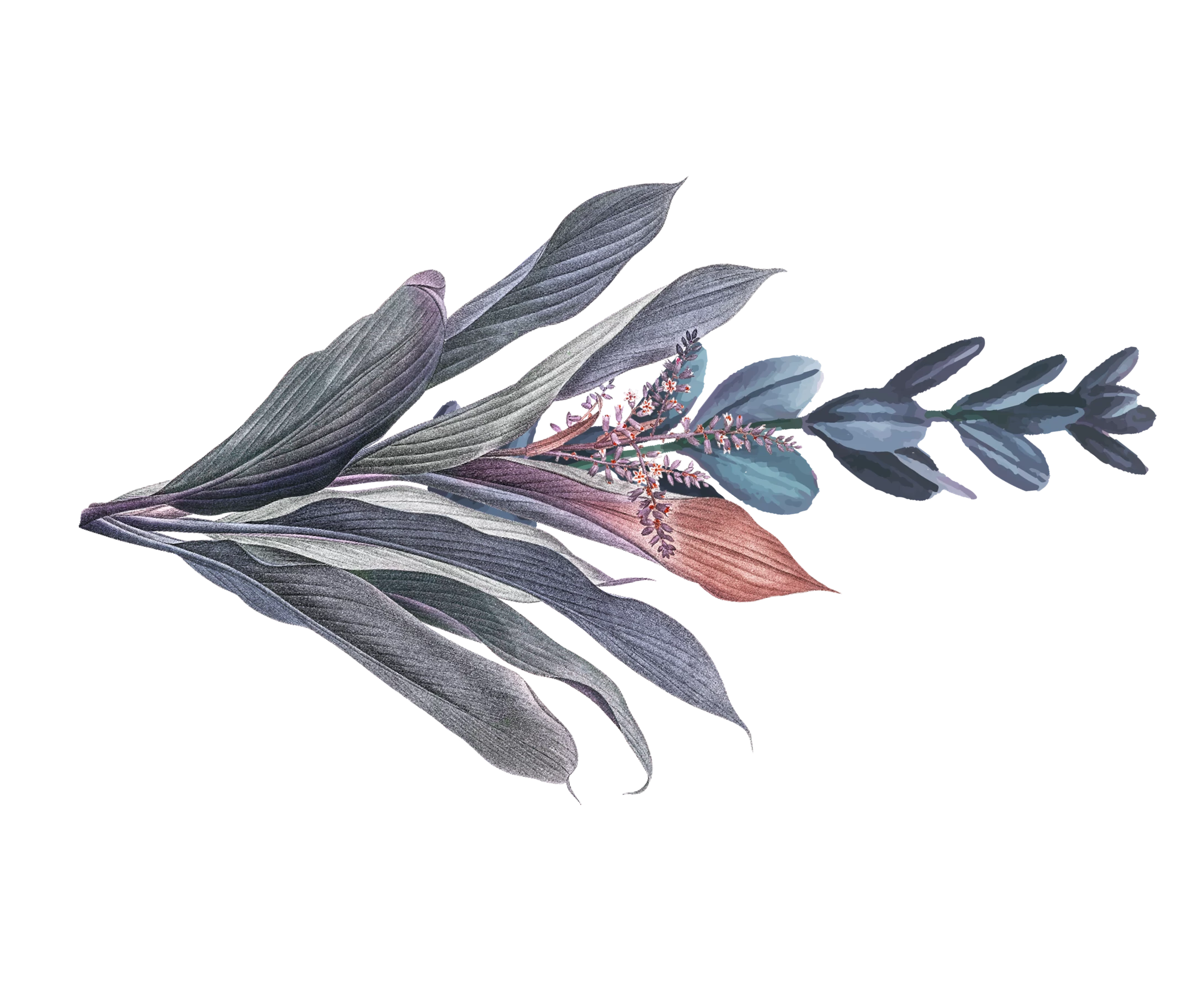 Floral Spray