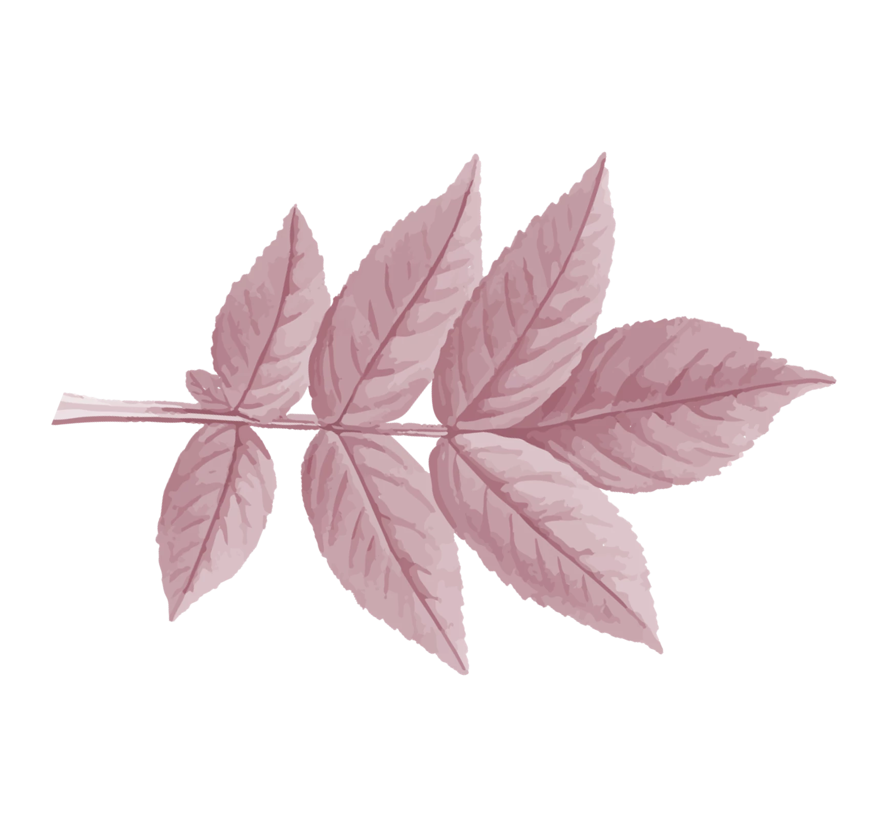 Floral Bottom Left